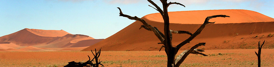 A Namib Desert scene, Namibia ER