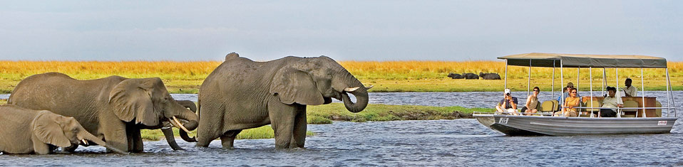 Chobe river cruise, Botswana